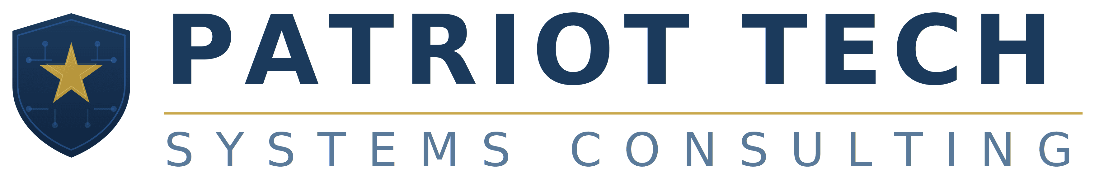 Patriot Tech Systems Consulting LLC
